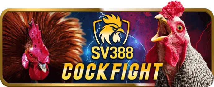 Trách nhiệm xã hội của f8bet90 nhà cái